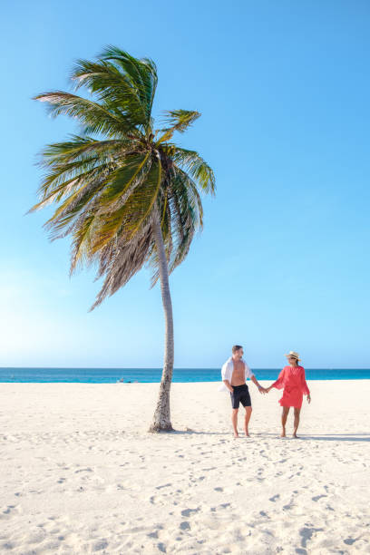istock Eagle Beach Aruba, Palm Trees on the shoreline of Eagle Beach in Aruba, 1489988027