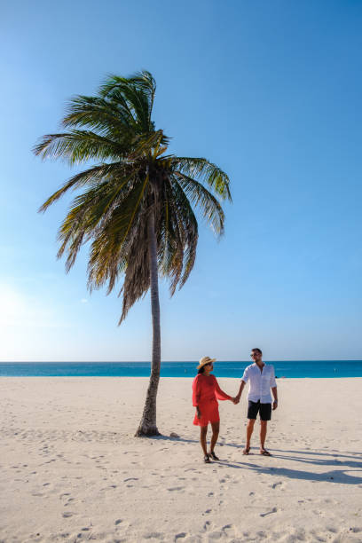 istock Eagle Beach Aruba, Palm Trees on the shoreline of Eagle Beach in Aruba, 1489988041