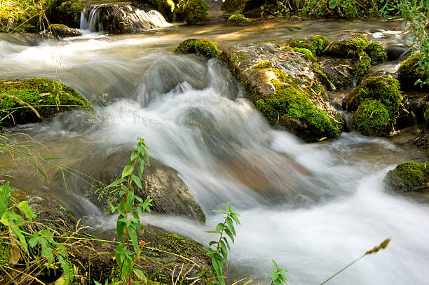 corriente de agua - boulder flowing water mountain range rock fotografías e imágenes de stock