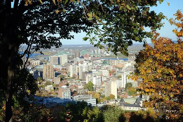 Montreal seen from Mont Royal in Fall with maple and oak trees in the foreground