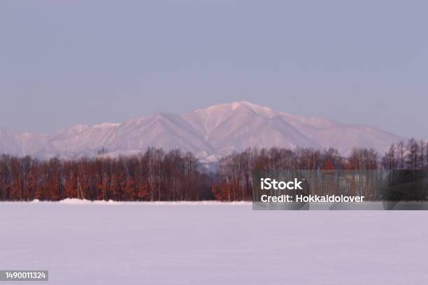 Nakasatunai Winter Stock Photo - Download Image Now - Cold Temperature, Color Image, Hidaka - Hokkaido