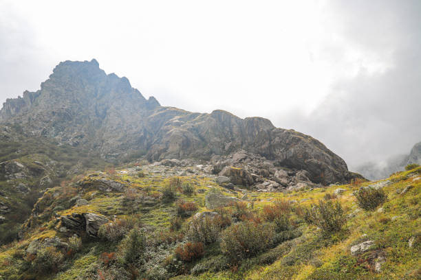 istock high mountain landscape with ominous clouds on the horizon 1490019890