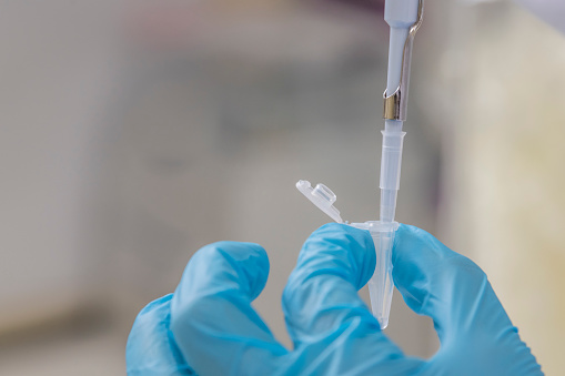 A hand with blue nitril glove holding a plastic eppendorf tube and a part of a micropipet taking liquid out of the tube. Science laboratory, lab, labcoat, biotechnology, research and development