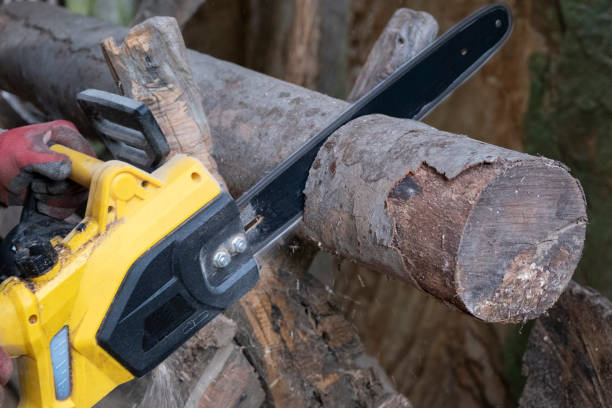 istock Old man in a worker's uniform is cutting wood for the winter with a chainsaw. 1490022676