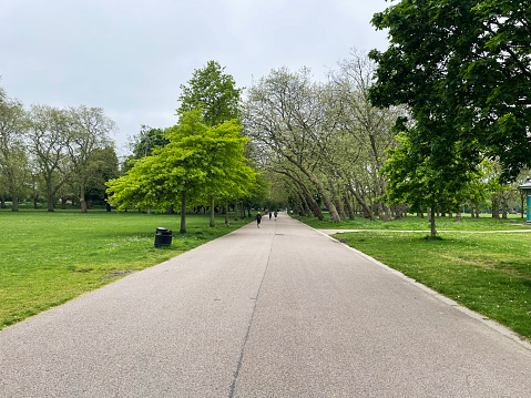 Path and trees in Victoria Park east London