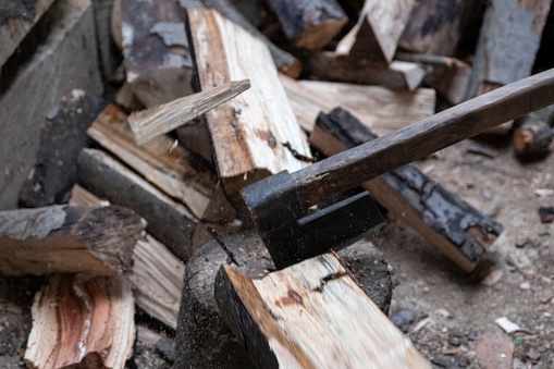The old lumberjack cuts his winter wood.