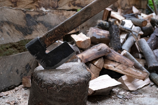 The splitting ax stuck in the log. There is wood cut behind it.