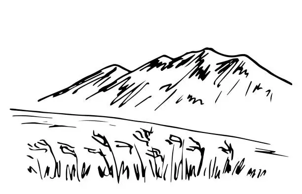 Vector illustration of Simple black outline vector drawing. Mountain landscape, wilderness, feather grass, prairie. Sketch in ink.