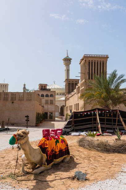 sheikh mohammed cultural understanding center und camel in dubai, vereinigte arabische emirate - dubai united arab emirates traditional culture camel stock-fotos und bilder