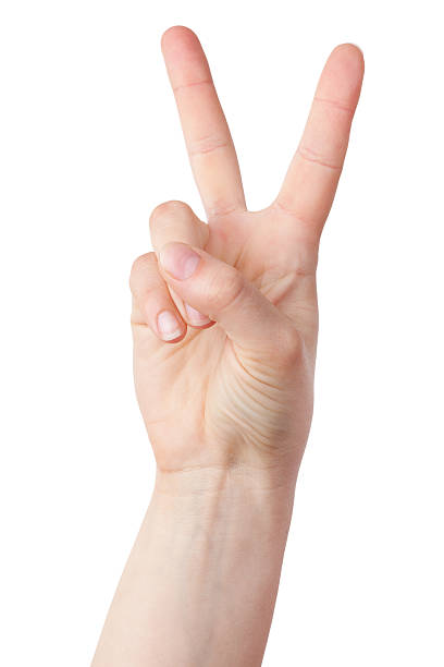 istock The victorious gesture, folded his fingers 149003130