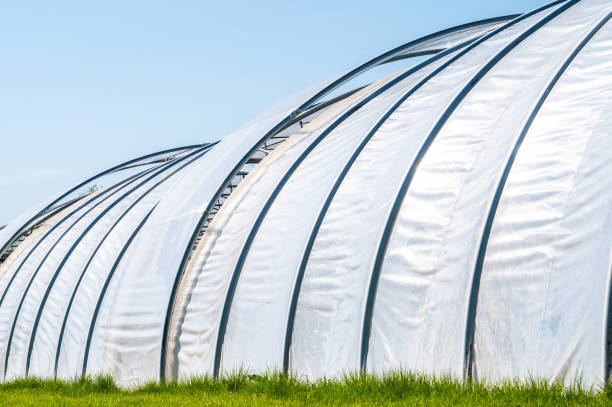 Greenhouse made of foil, semicircular from the outside. stock photo