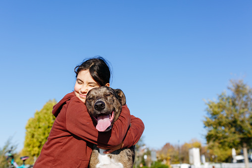 Girl with dark hairs hugs her grey dog with tongue out