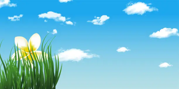 Vector illustration of Landscape with realistic  grass, flower, sky and clouds.