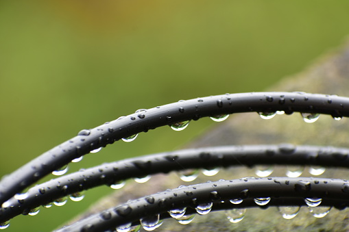 Water drops on black wire .