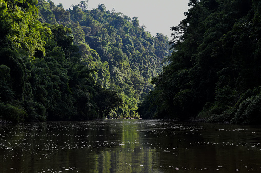 River Gomati of Tripura passing through jungle near Chabimura .