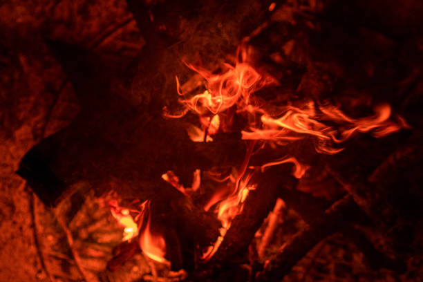 A shot of burning wood in the night