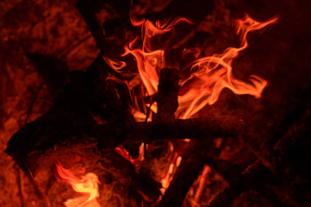 An intense wildfire spreading rapidly through a forest, consuming trees, grass, and vegetation. Massive flames and dense clouds of smoke dominate the natural landscape, symbolizing the destructive power of nature and environmental challenges. This impactful image is ideal for illustrating environmental issues, climate change effects, disaster response scenarios, and educational content on natural disasters. Perfect for use in articles, blogs, documentaries, or awareness campaigns focused on wildfire prevention and ecological preservation.