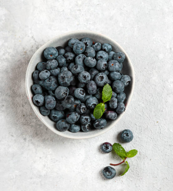 istock fresh ripe blueberries in a gray plate on a light gray background top view 1490049242
