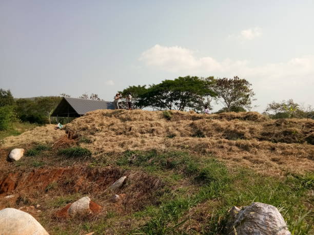 istock making agriculture area, Thailand 1490053246