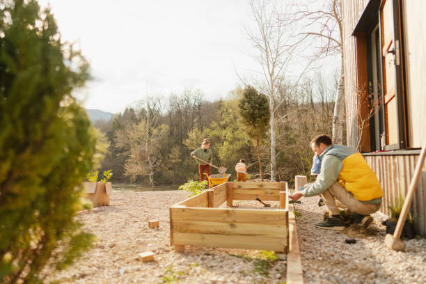 istock Making a garden bed together 1490054487