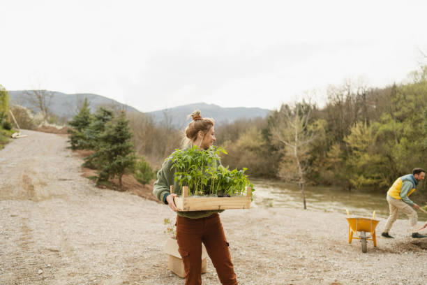 istock Working on my organic garden 1490054505