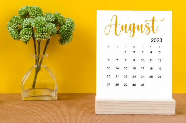 el calendario de escritorio mensual de agosto de 2023 para el año 2023 con maceta sobre fondo amarillo. - agosto fotografías e imágenes de stock