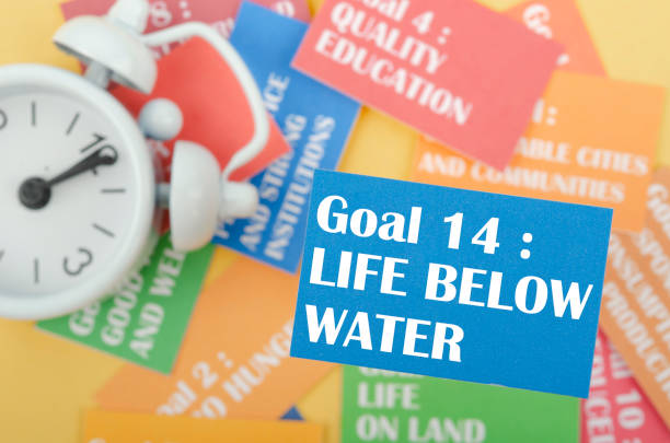 istock The Goal 14 : Life Below Water. The SDGs 17 development goals environment. Environment Development concepts. 1490054694