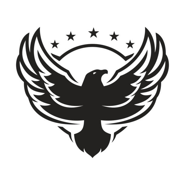 독수리 로고 디자인. - symbol military star eagle stock illustrations