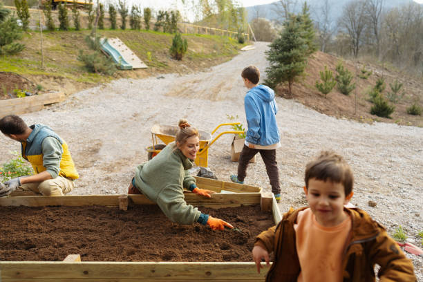 istock Planting vegetables in our organic garden 1490055220