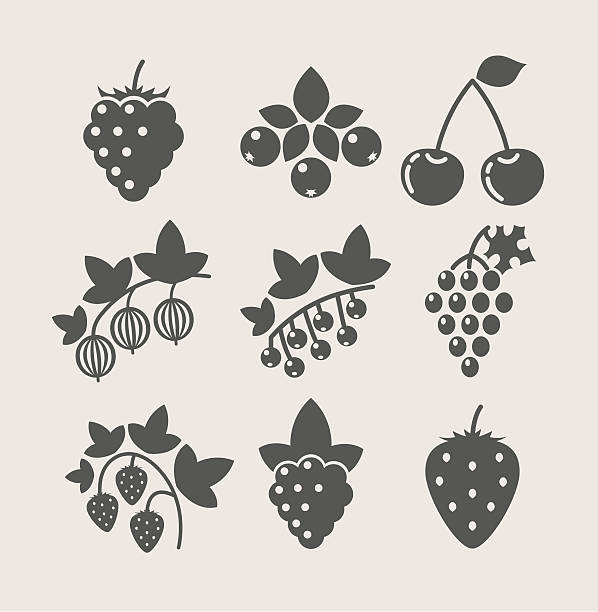 zestaw ikona jedzenie berry - raspberry berry vine berry fruit stock illustrations