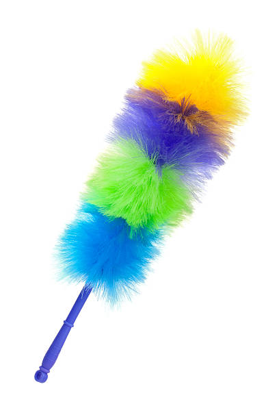 istock Fluffy brush to clean the dust 149005635