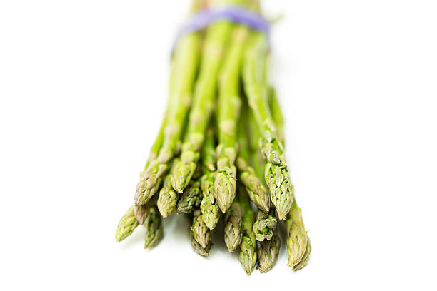 Bunch of fresh asparagus on white background.