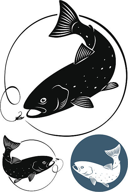 ilustrações de stock, clip art, desenhos animados e ícones de truta peixe - trout fishing silhouette salmon