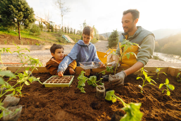 istock Planting vegetables with our dad 1490060818