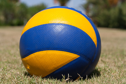 sport volleyball in grass photo