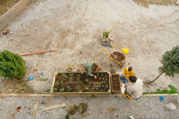 istock Garden bed with organic vegetables 1490062895