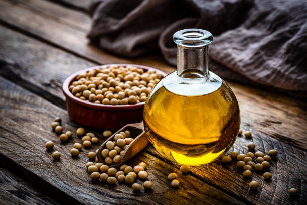 Soy oil bottle and dried soybeans stock photo