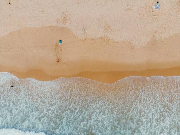 istock Top view of a serene beach with the waves lapping the shore 1490065701