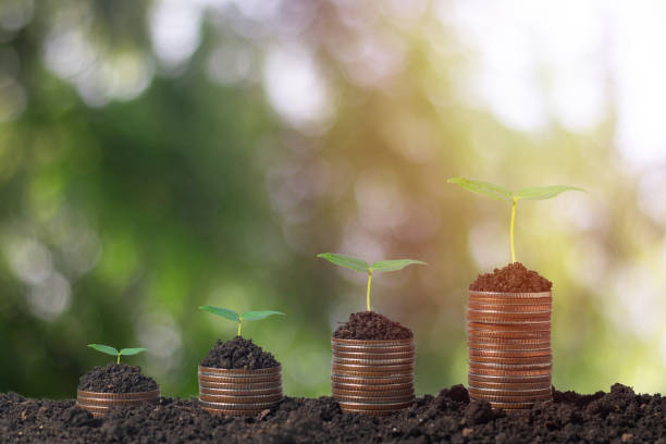 istock Coins stacked from low to high. (Saving concept) 1490069065