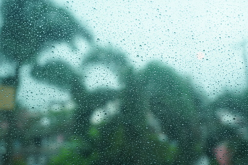 Defocused raindrops on the glass become an aesthetic backdrop