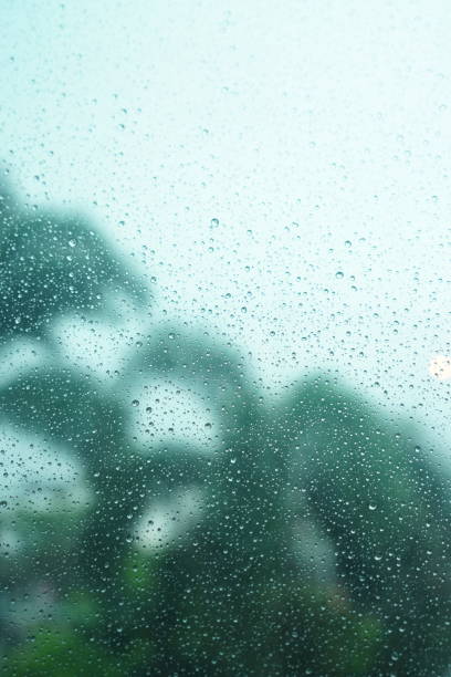 istock Defocused raindrops on the glass become an aesthetic backdrop 1490070005