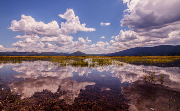 Reflecting clouds Clouds reflection over Cerknica Lake, Slovenia. cerknica lake stock pictures, royalty-free photos & images