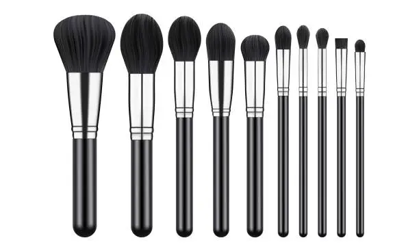Vector illustration of Set of Makeup Brushes, Tools for Visage, Isolated on White Background