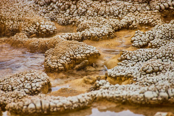 Image of Alkaline formations in detail at Yellowstone