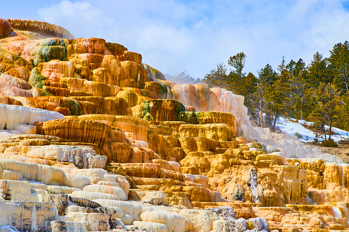 Image of Amazing hot spring terraces at Yellowstone's Devils Thumb