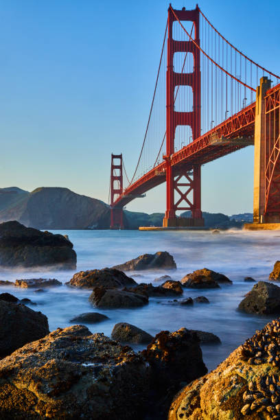 istock Beach rocks covered in mussels by Golden Gate Bridge at sunset 1490079320