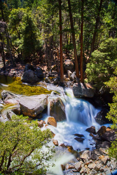 istock Beautiful waterfalls surrounded by forest in Yosemite 1490079800