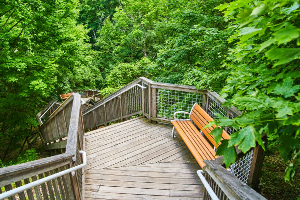 istock Boardwalk staircase with resting benches and bright green trees 1490081747