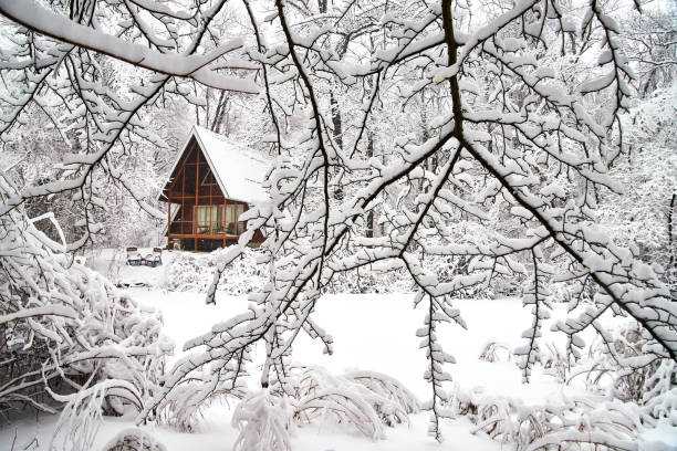 Image of Cabin woods by frozen river surrounded by tree branches covered in snow