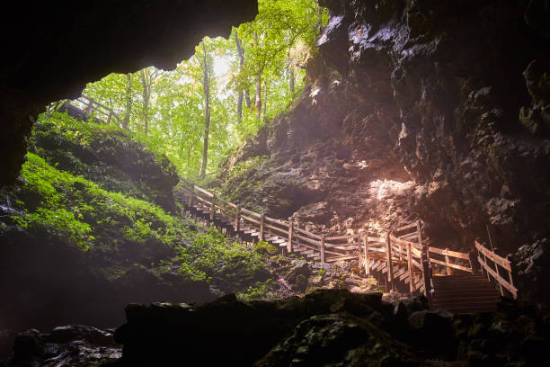 istock Cave opening with stairs leading outside 1490082504